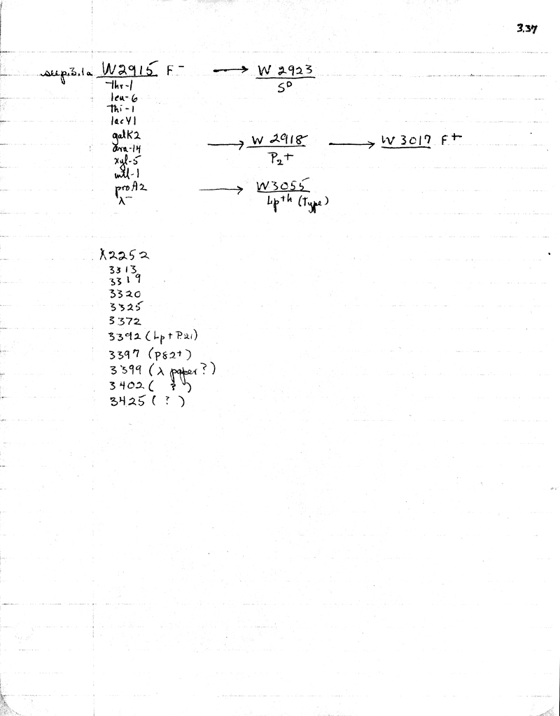 W46 Wisconsin W2915F- strains p3.37